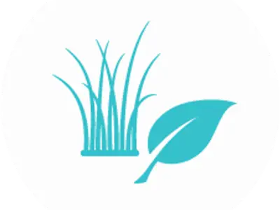 Grass and Leaves